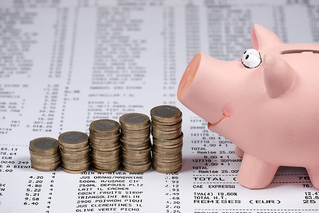 save, money, piggy bank, finance, coins, economy, wealth, cash, euros, savings, investments, currency, concept, idea, piggy bank, piggy bank, piggy bank, piggy bank, piggy bank
