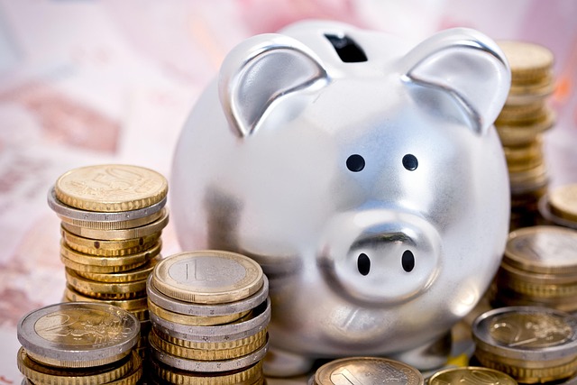 piggy bank, pig, cash, economy, piggy bank, piggy bank, piggy bank, piggy bank, piggy bank